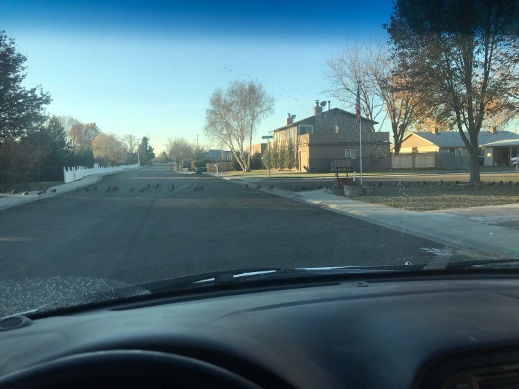 sPQrKIKySGi0ntI12kVdtg